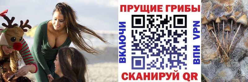 Псилоцибиновые грибы GOLDEN TEACHER  Назрань 